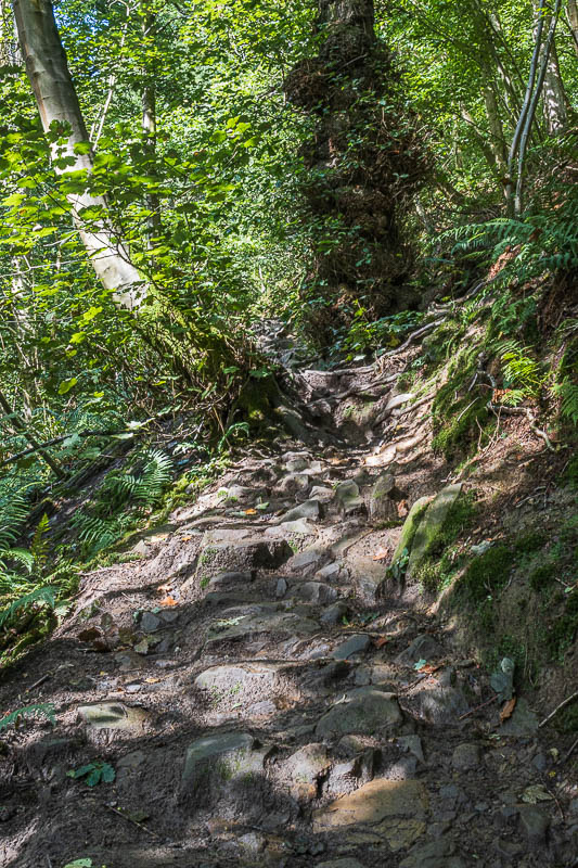 Parkin Clough